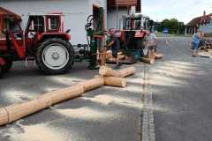 Maibaum-2024-06-07-um-17.38-02