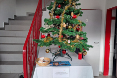 IMG-20241224-WA0015