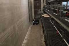 IMG-20260401-WA0020
