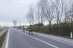 55200262444_805ae702c2_k