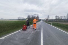 55200417285_19275f6ee2_h