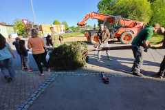 IMG-20260430-WA0053