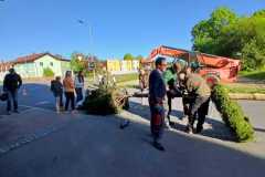 IMG-20260430-WA0056