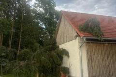 IMG-20260527-WA0019