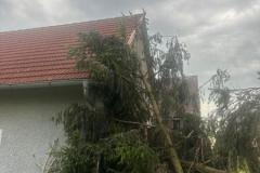 IMG-20260527-WA0020
