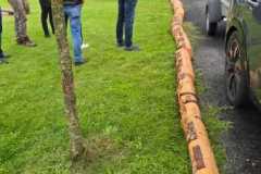 IMG-20260603-WA0012