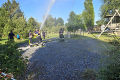 IMG-20260725-WA0009